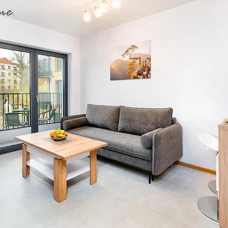 公寓 Wonder Home- Izeryn- Centrum Swieradowa