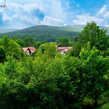 Wonder Home- Izeryn- Centrum Swieradowa * Сверадув-Здруй