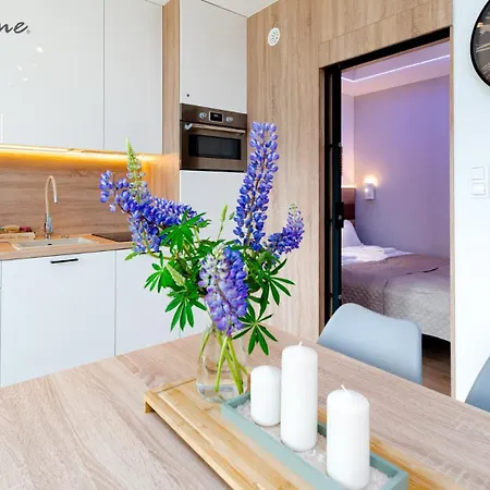 公寓 Wonder Home- Izeryn- Centrum Swieradowa