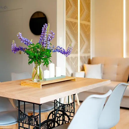 Lejlighed Wonder Home- Izeryn- Centrum Swieradowa *