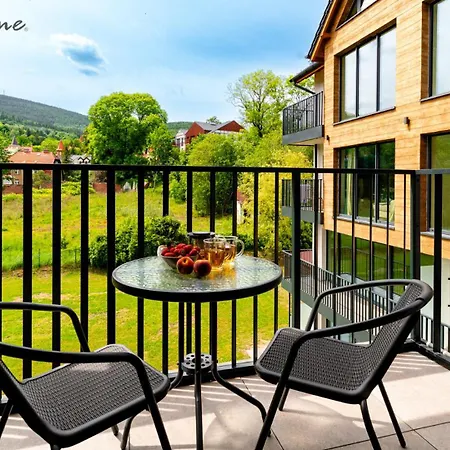 Wonder Home- Izeryn- Centrum Swieradowa 公寓 Świeradów-Zdrój